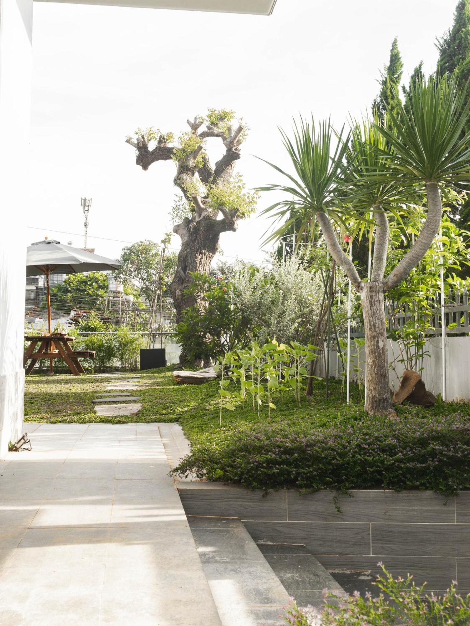 Shalom House _ Bao Loc Ξενοδοχείο Εξωτερικό φωτογραφία