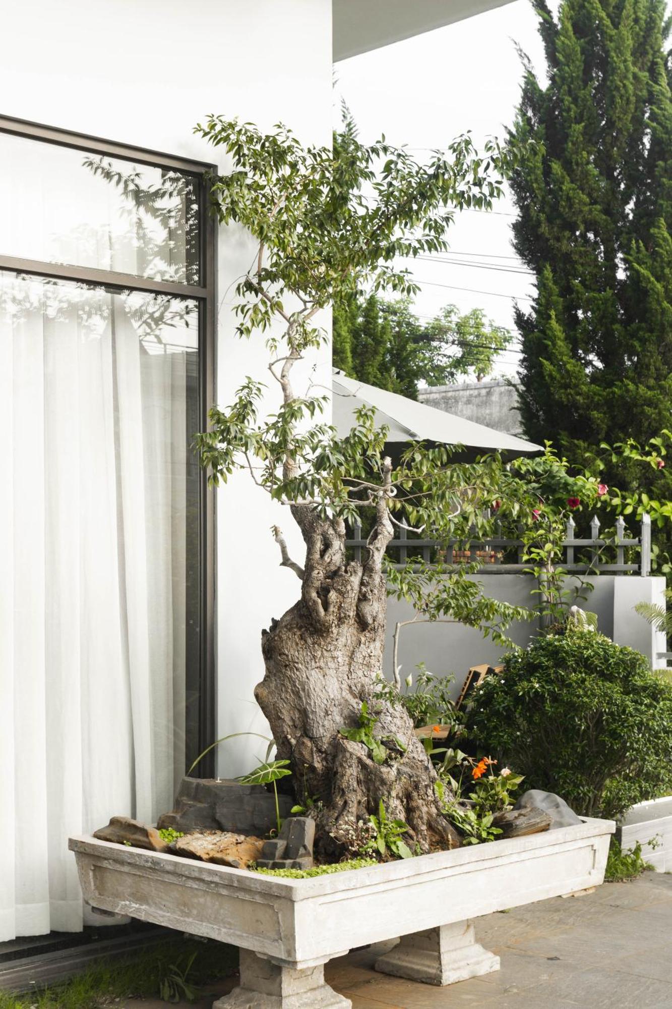 Shalom House _ Bao Loc Ξενοδοχείο Εξωτερικό φωτογραφία